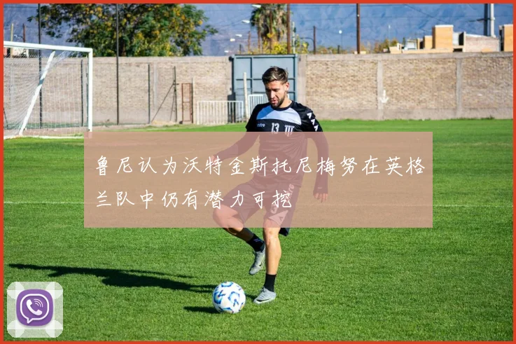 鲁尼认为沃特金斯托尼梅努在英格兰队中仍有潜力可挖